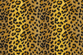 leoparden-muster