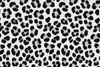 schwarz weiß leo muster
